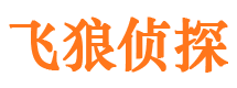 龙州寻人公司